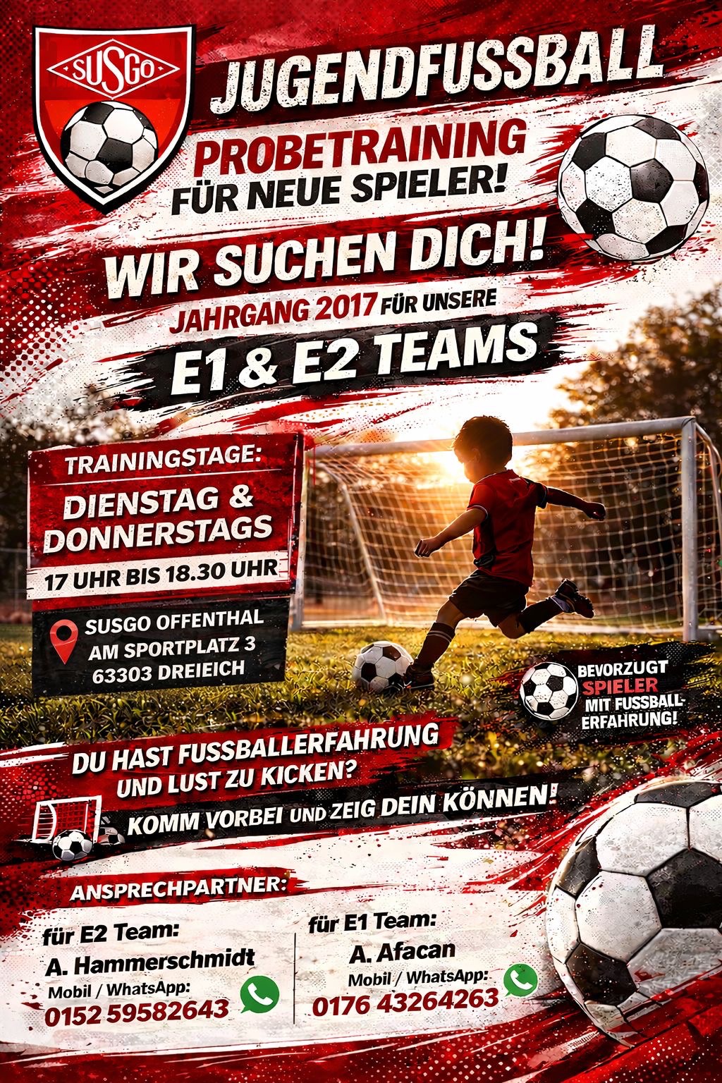 Probetraining E1 und E2